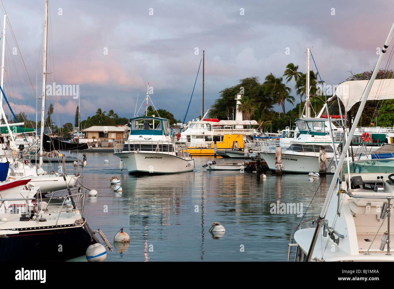 Lahaina Harbor, West Maui Hawaii che mostra un gioco grande di barche da pesca e le imbarcazioni da diporto, presa nelle prime ore del mattino Foto Stock