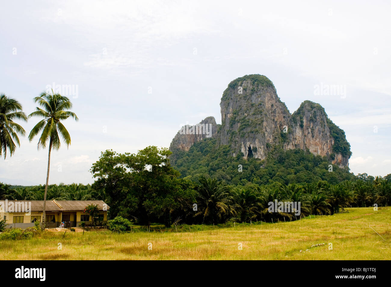 Gua Charas collina circondata da olio di palma piantagioni vicino a Kuantan, Malaysia Foto Stock