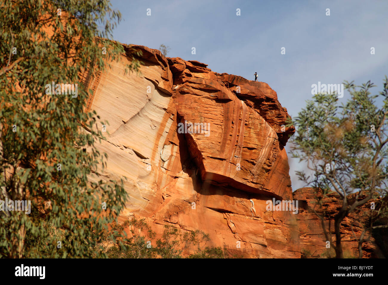 Kings Canyon, parte del Parco Nazionale Watarrka , Territorio del Nord, l'Australia Foto Stock
