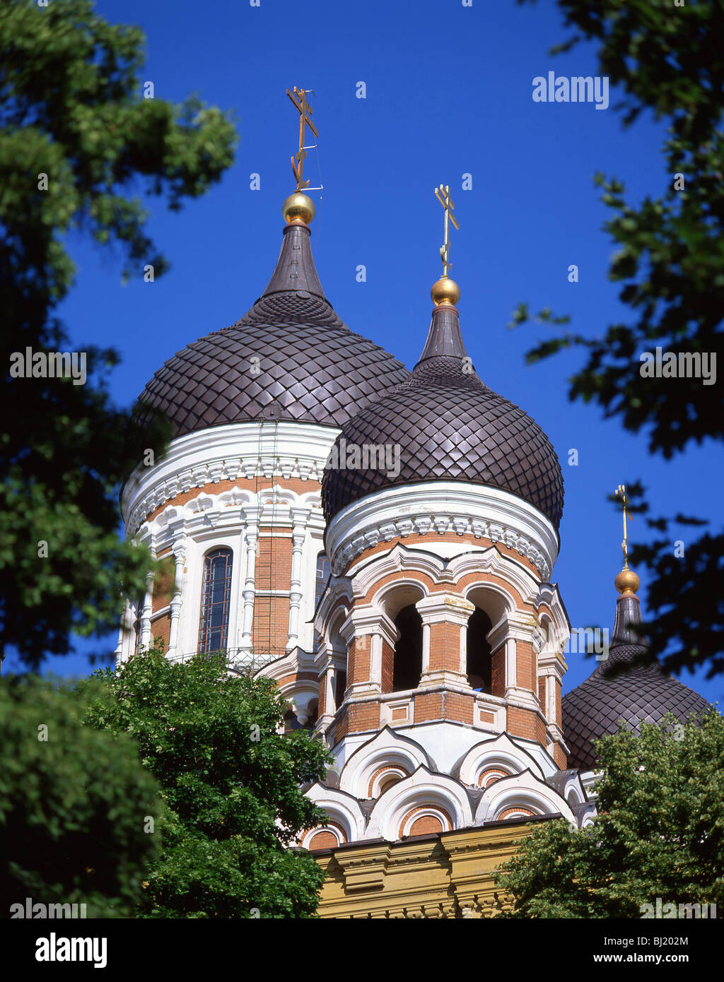 Cattedrale di Alexander Nevski, Toompea Hill, la Città Vecchia di Tallinn, Harju County, della Repubblica di Estonia Foto Stock