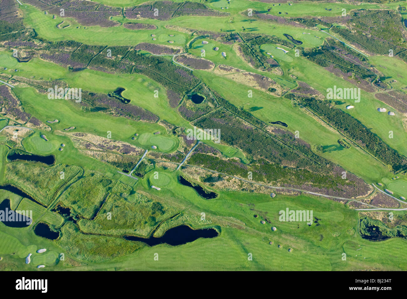 Campo da golf Foto Stock