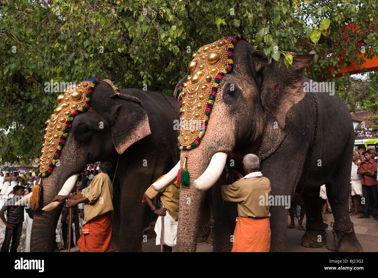 India Kerala, Adoor, Sree Parthasarathy temple, Gajamela, caparisoned elefanti nel rituale processione Foto Stock