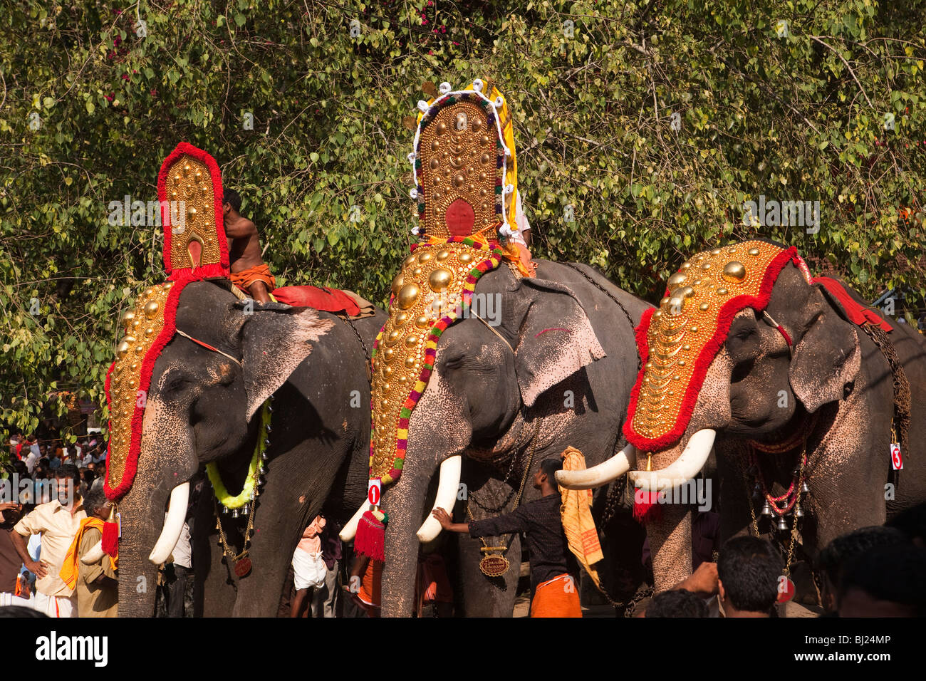 India Kerala, Adoor, Sree Parthasarathy temple, Gajamela festival, caparisoned elefanti nel rituale processione Foto Stock