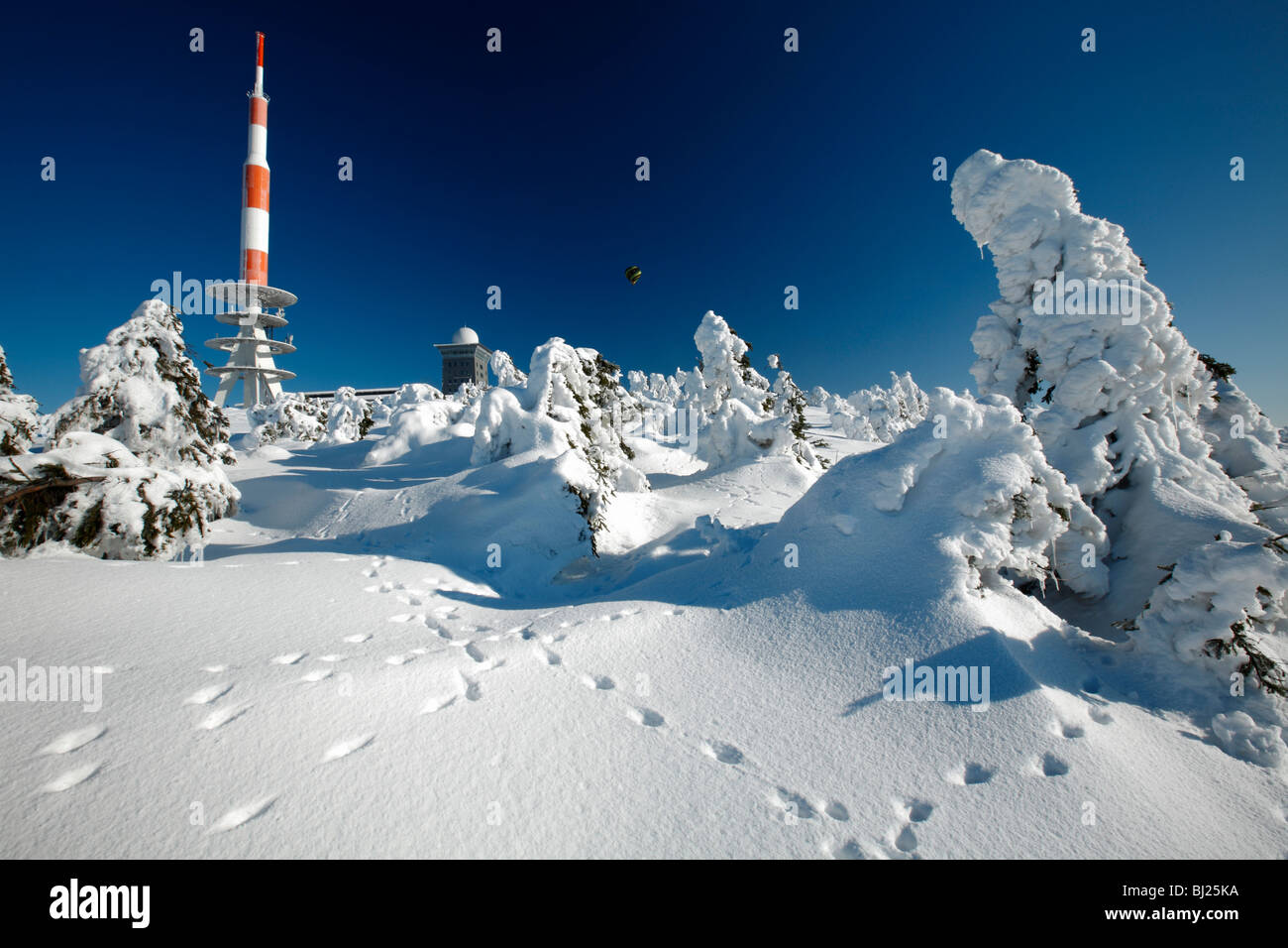 Montante della trasmissione e coperta di neve abeti in inverno, Brocken mountain, Hochharz National Park, Sachsen Anhalt , Germania Foto Stock