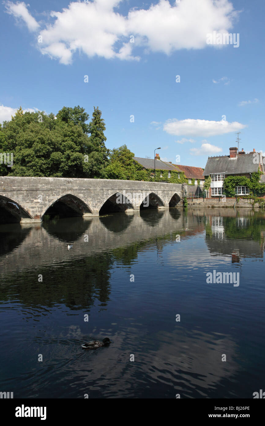 New Forest, Fordingbridge Foto Stock