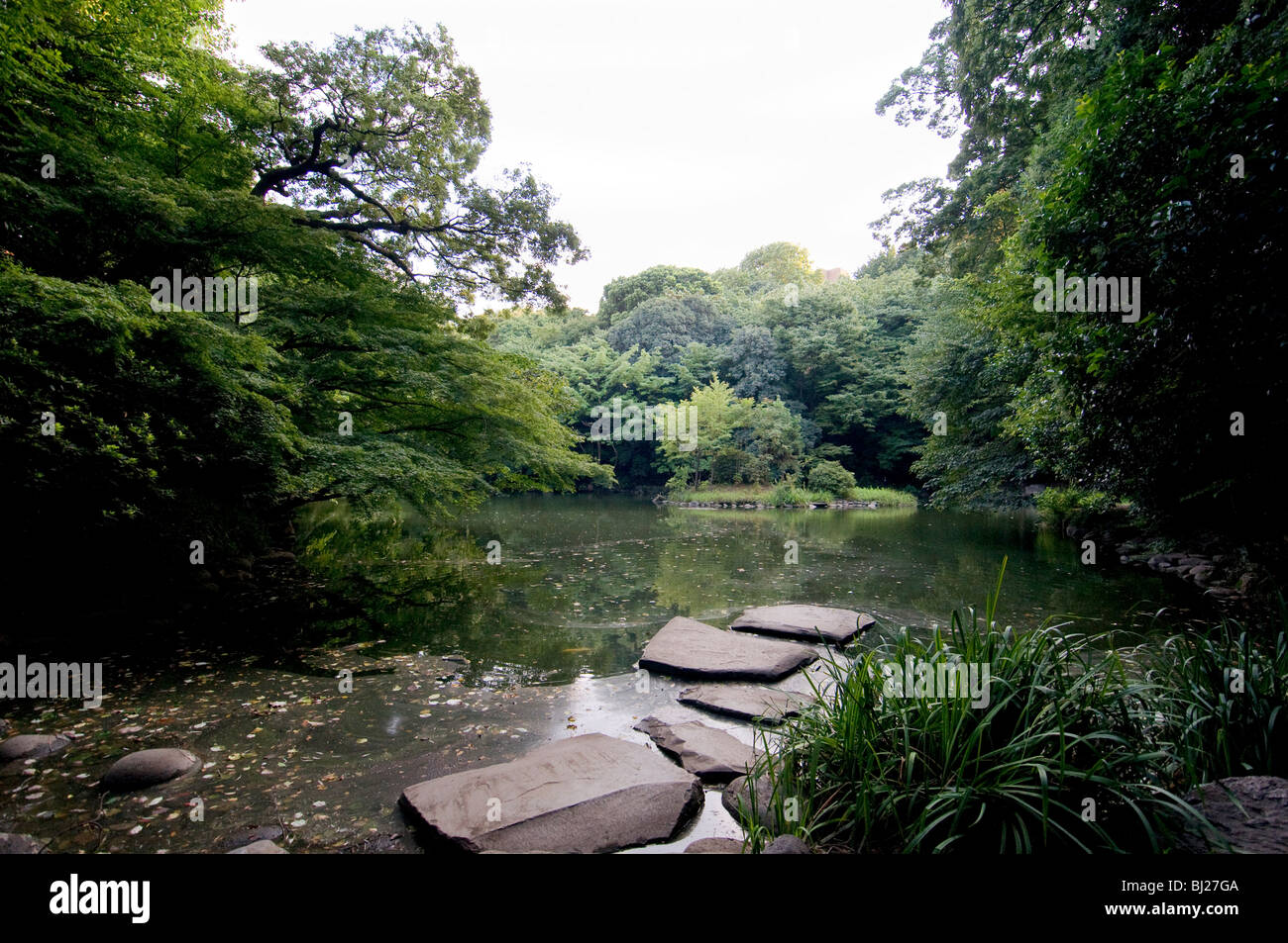 Università di Tokyo Sanshiro-ike, Tokyo Giappone. Foto Stock