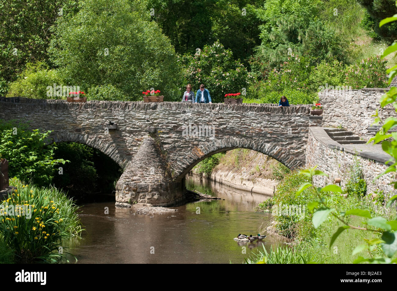 Castello superiore ponte, sul fiume Elz, Monreal, Eifel, Renania-Palatinato, Germania Foto Stock