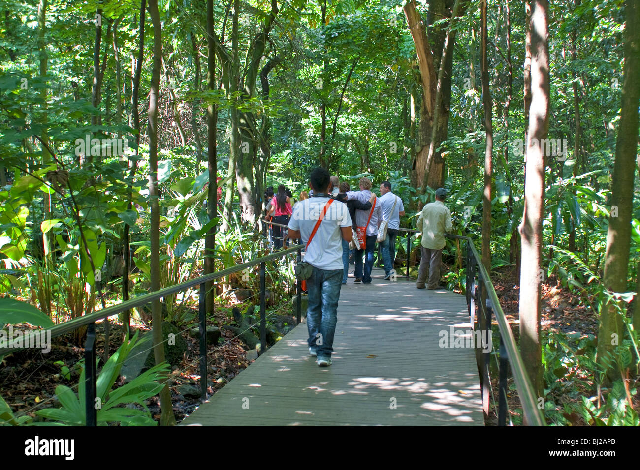 La Colombia, Medellin, Jardin Botanico e Orto Botanico Foto Stock