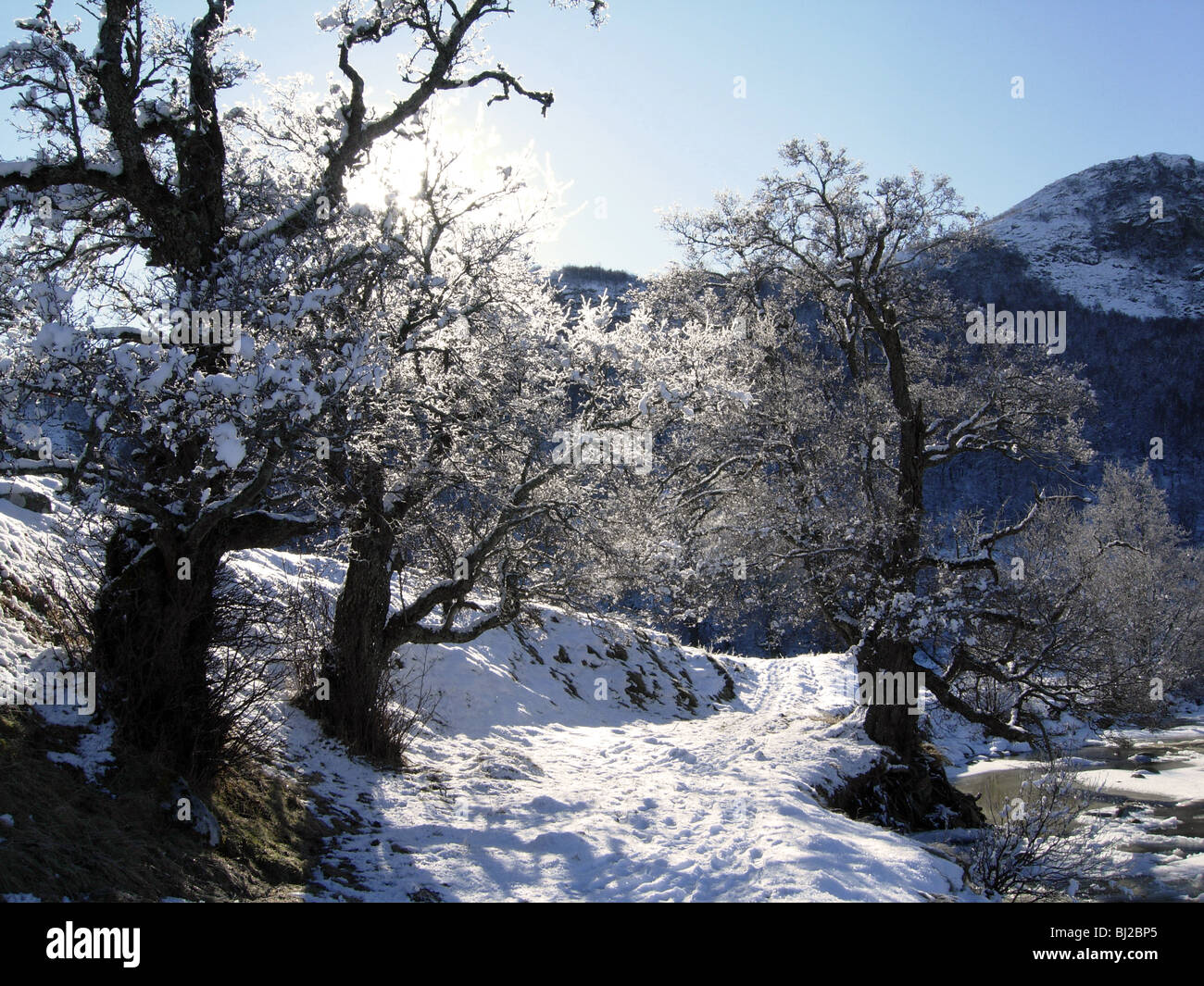 A piedi da Newtonmore Inverness-shire Scozia in inverno la neve fino al fiume Calder Foto Stock