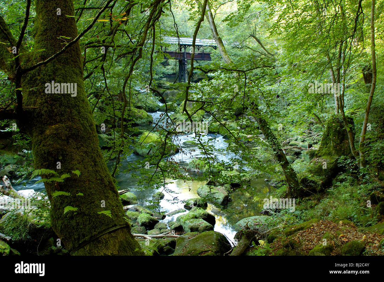 Naturpark Südeifel Irrel, Wasserfälle der Prüm mit gedeckter Holzbrücke Foto Stock