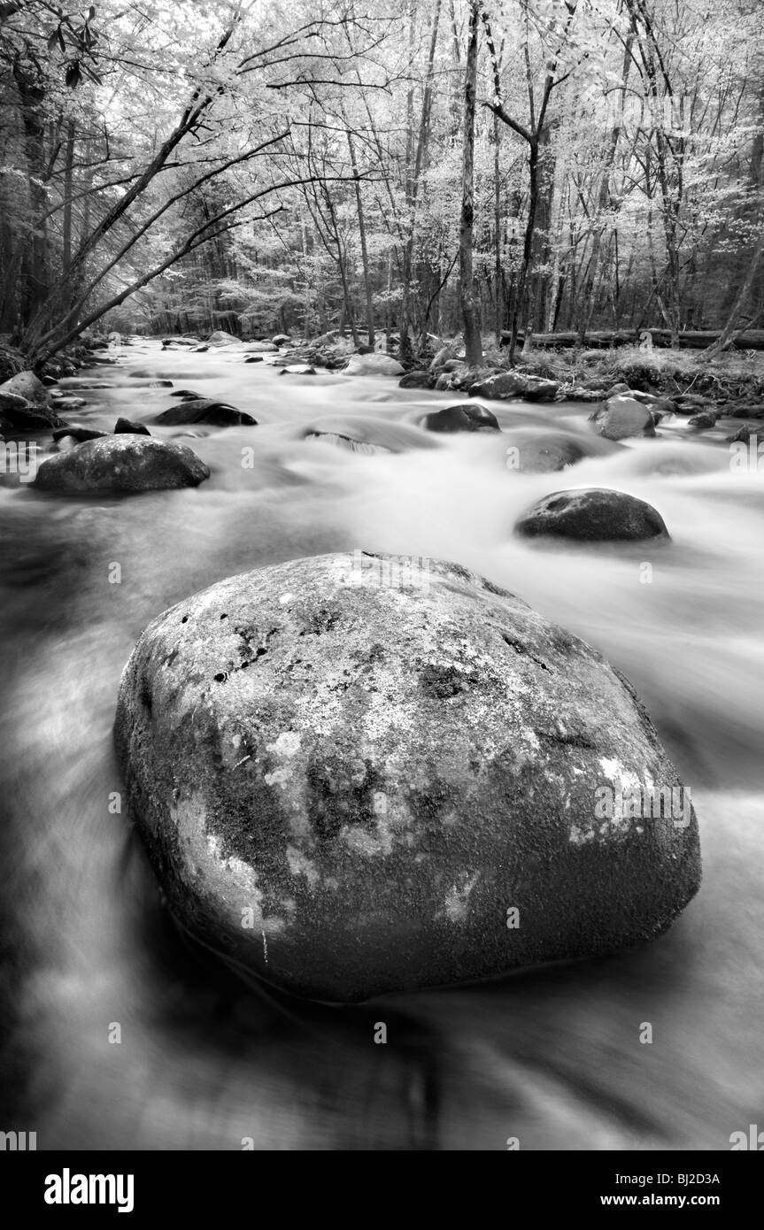 Smoky Mountain Waterfall Foto Stock