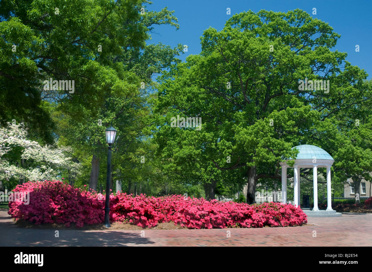 Il vecchio pozzo, Università della North Carolina a Chapel Hill Foto Stock