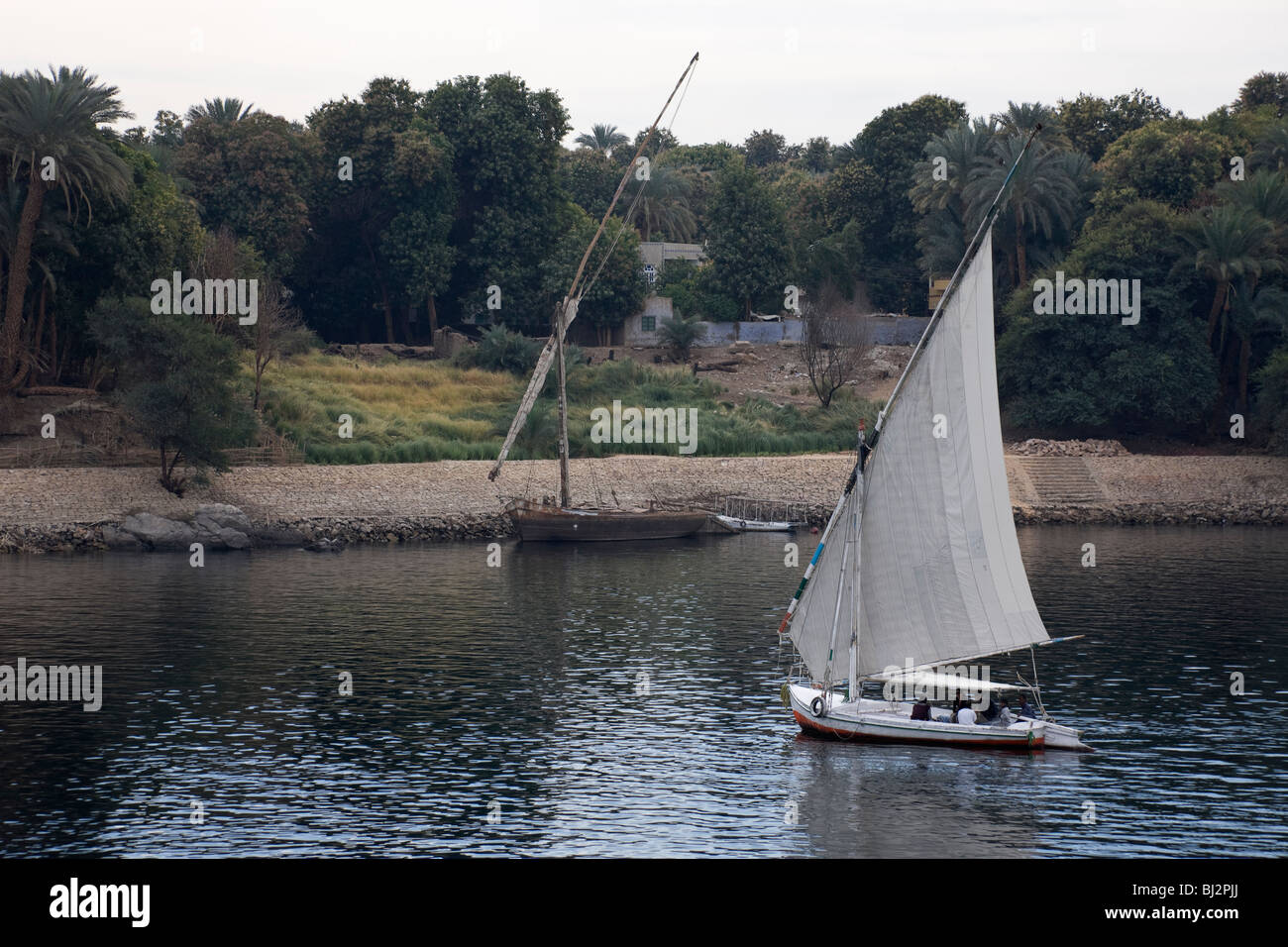 Una feluca catture la brezza come si naviga lungo il fiume Nilo. Foto Stock