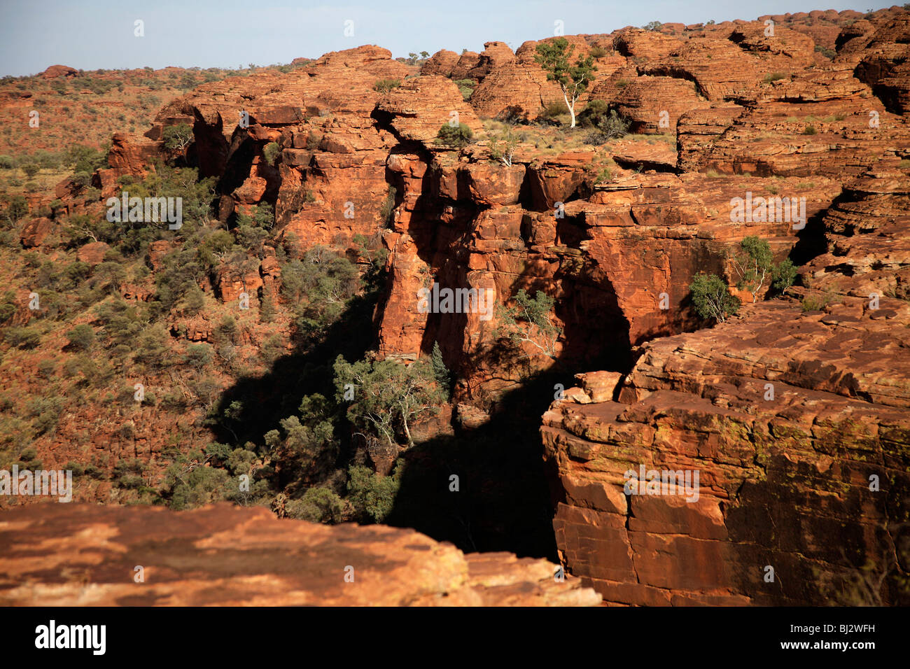 Giant Kings Canyon, parte del Parco Nazionale Watarrka , Territorio del Nord, l'Australia Foto Stock