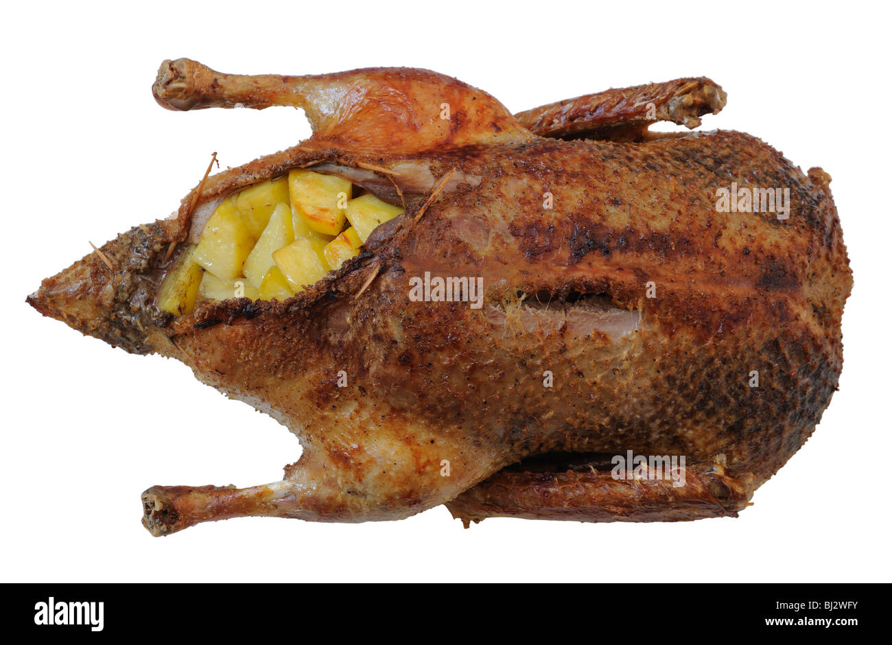 Anatra arrugginito ripieni di patate. Isolato su sfondo bianco Foto Stock