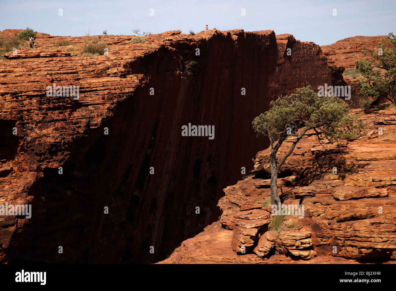 Giant Kings Canyon, parte del Parco Nazionale Watarrka , Territorio del Nord, l'Australia Foto Stock
