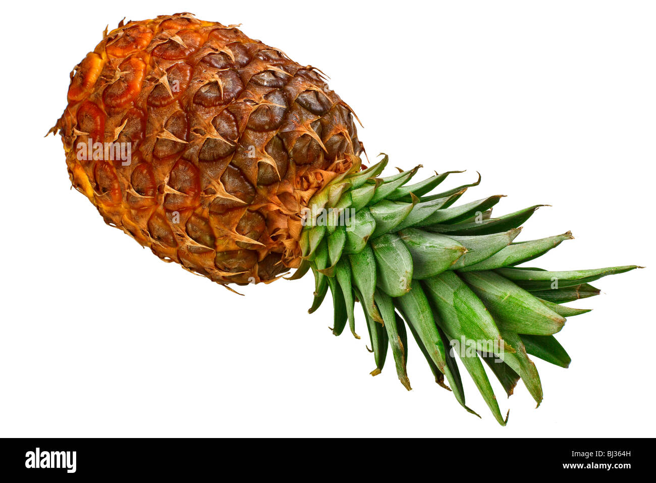 Ananas frutta foto isolato su sfondo bianco Foto Stock