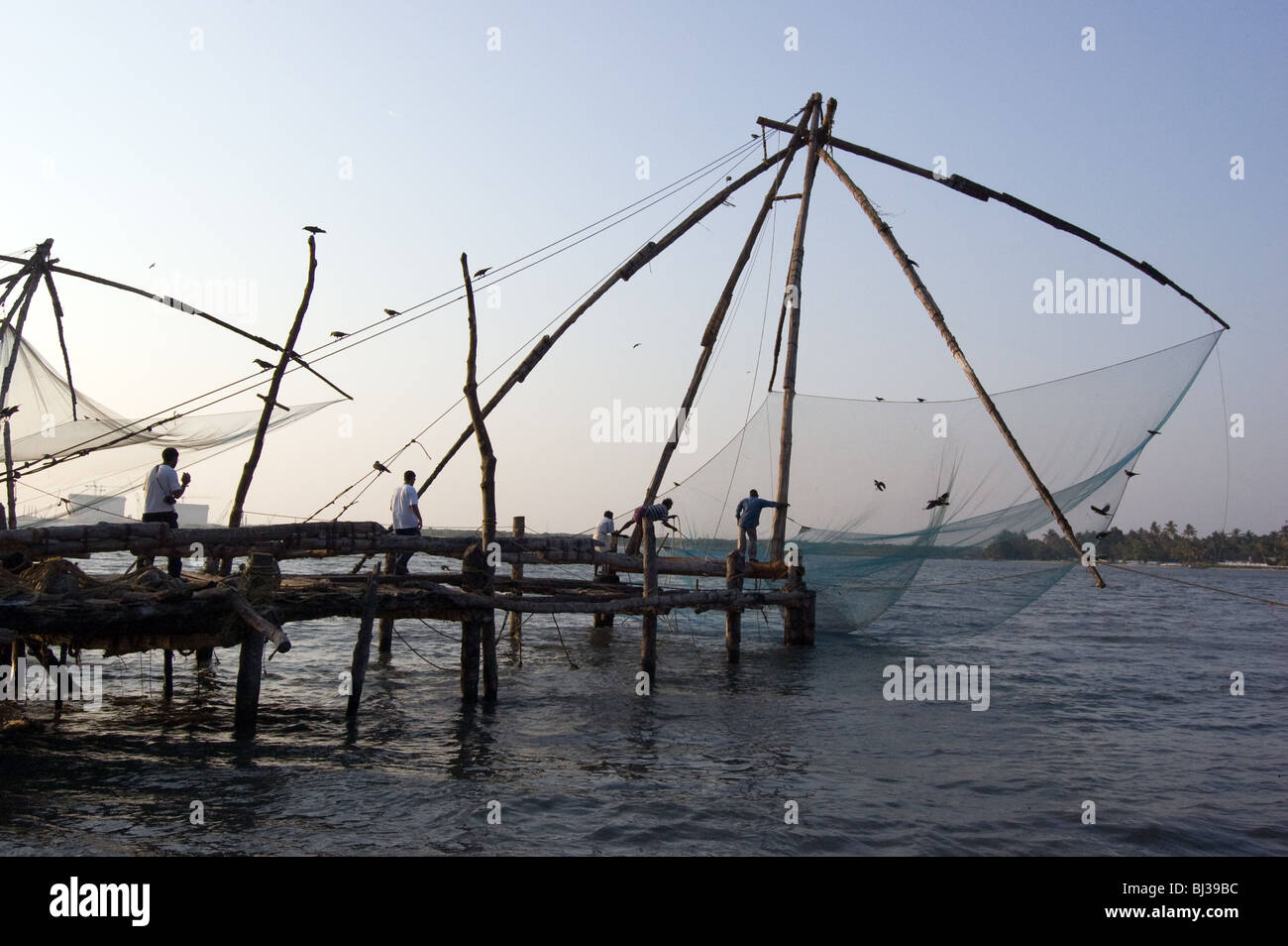 Cinese di reti da pesca a Fort Cochin, India. Foto Stock