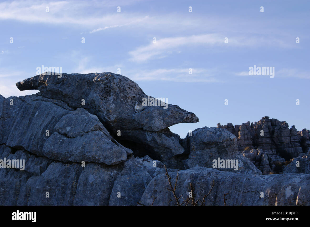 Faccia strana nella roccia nella parte superiore di El Torcal montagna vicino a ANTEQURA Andalusia Spagna Foto Stock