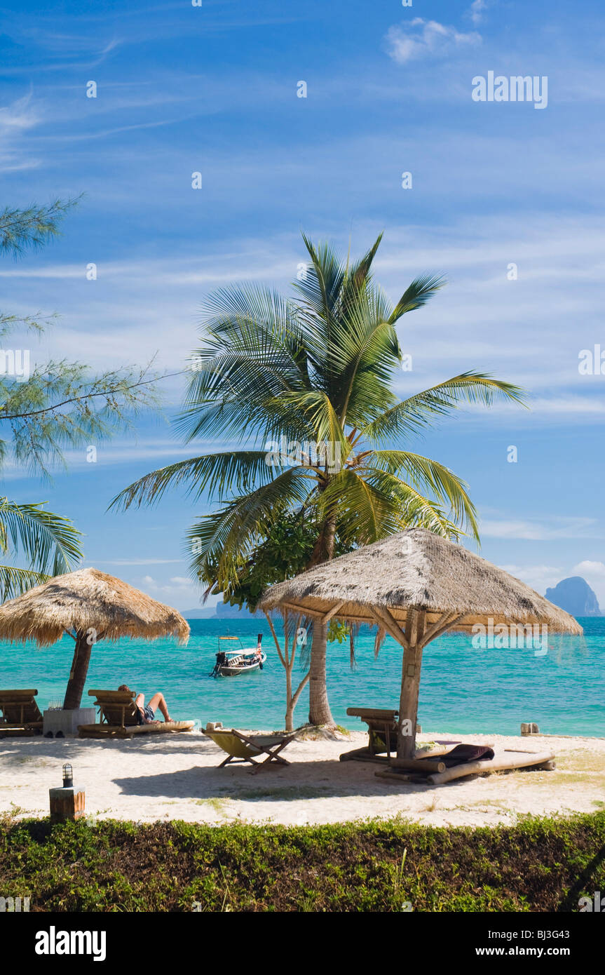 Le palme sulla spiaggia sabbiosa, Ko Hai o Koh Ngai island, Trang, Thailandia, Asia Foto Stock