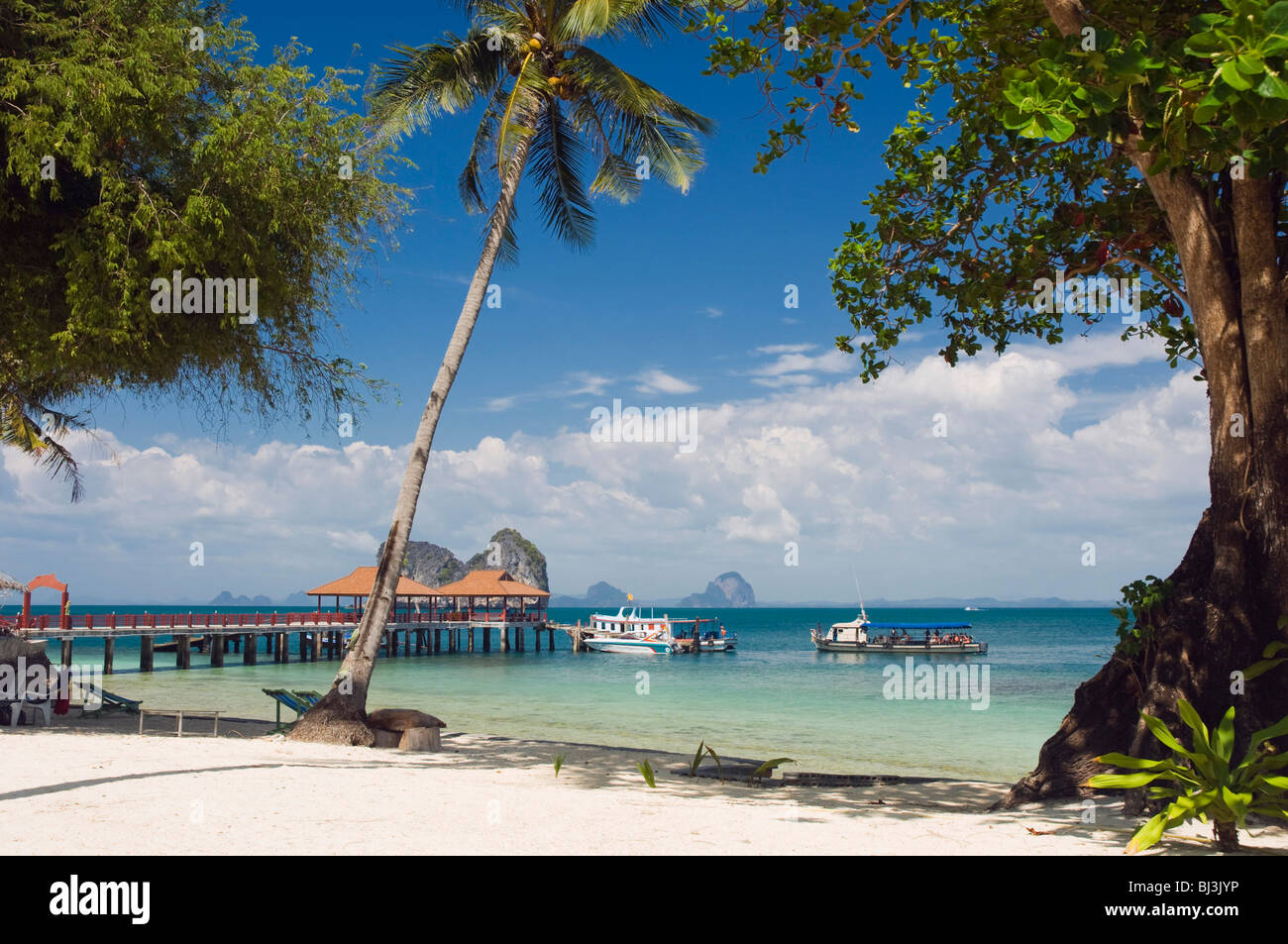Jetty su un Palm Beach, Ko Hai o Koh Ngai island, Trang, Thailandia, Asia Foto Stock