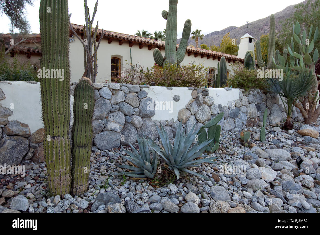 Paesaggio integrato al desert home in Palm Springs, California Foto Stock
