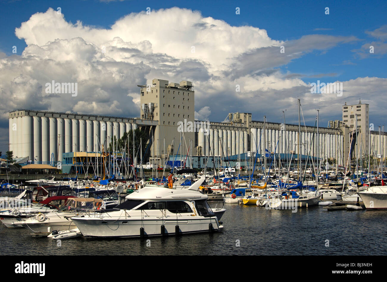 Marina, nel retro di un silos della Bunge Company nel porto della città di Québec, Canada Foto Stock