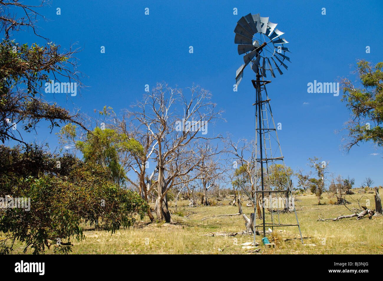 Windmill Rural New South Wales Australia // RURAL NEW SOUTH WALES, Australia — Un mulino a vento solitario si erge alto contro il vasto paesaggio aperto di una fattoria nel nuovo Galles del Sud rurale. L'iconica struttura, sagomata contro il cielo, funge da fonte d'acqua vitale in questo vasto ambiente agricolo. Foto Stock