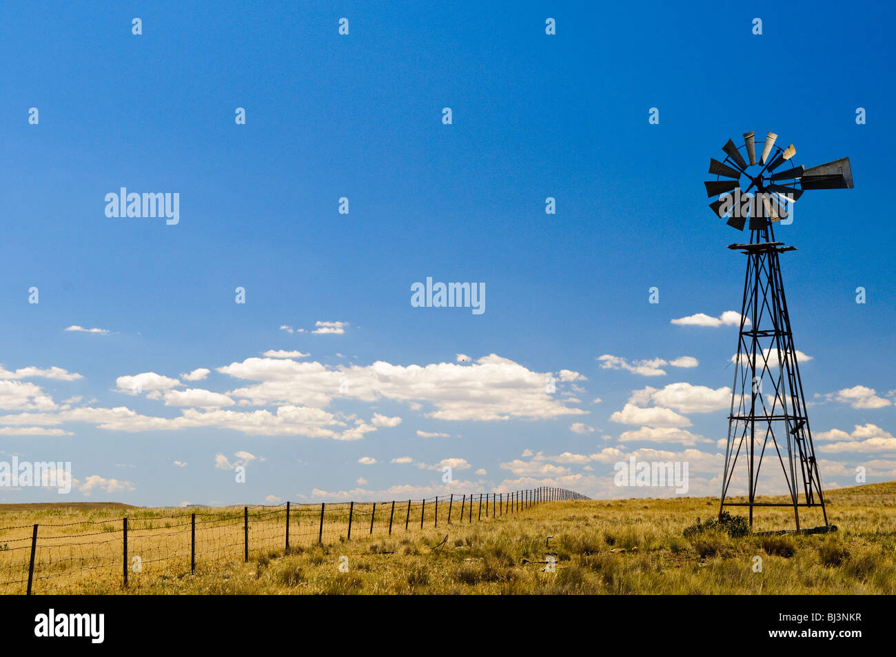Windmill Rural New South Wales Australia // RURAL NEW SOUTH WALES, Australia — Un mulino a vento solitario si erge alto contro il vasto paesaggio aperto di una fattoria nel nuovo Galles del Sud rurale. L'iconica struttura, sagomata contro il cielo, funge da fonte d'acqua vitale in questo vasto ambiente agricolo. Foto Stock