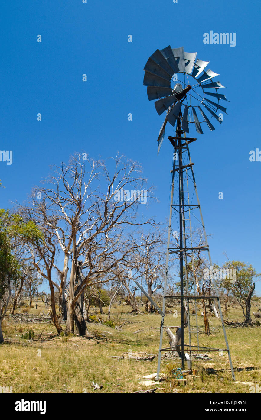 Windmill Rural New South Wales Australia // RURAL NEW SOUTH WALES, Australia — Un mulino a vento solitario si erge alto contro il vasto paesaggio aperto di una fattoria nel nuovo Galles del Sud rurale. L'iconica struttura, sagomata contro il cielo, funge da fonte d'acqua vitale in questo vasto ambiente agricolo. Foto Stock