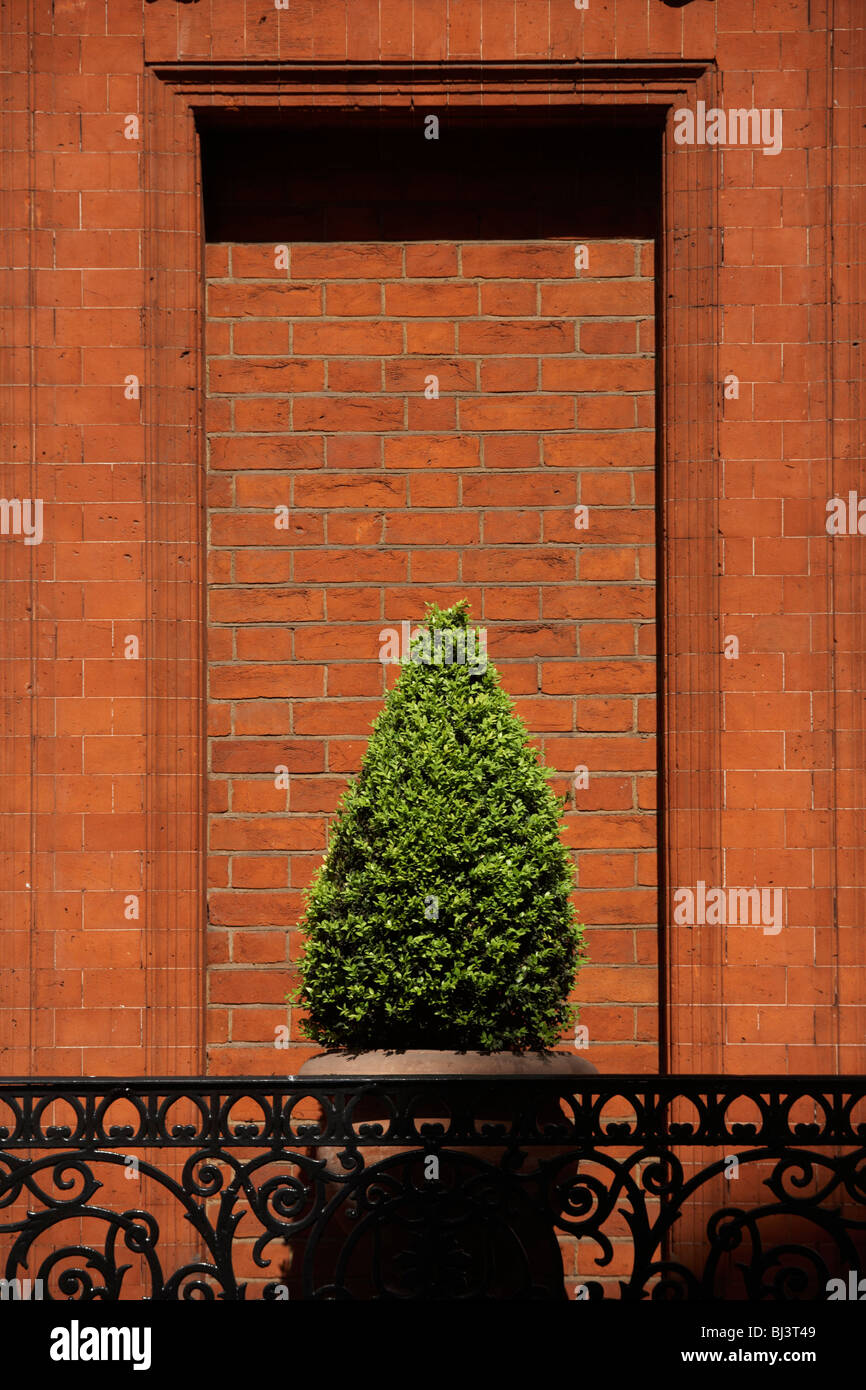 All'angolo di Draycott Place SW1 e giardini Cardogan SW3 è Stuart House, un edificio in mattoni rossi, Foto Stock