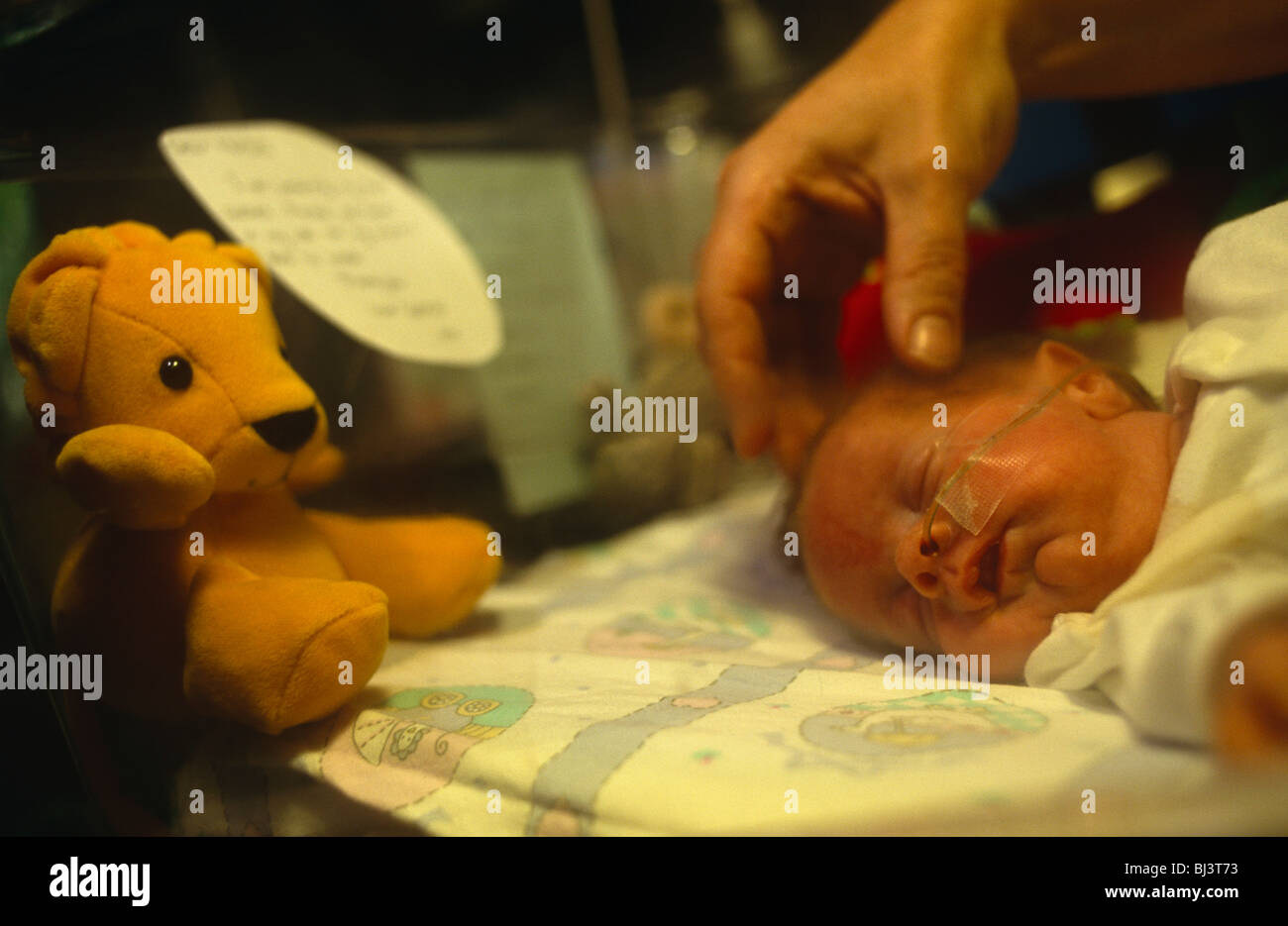 Una madre tratti la sua testa, un minuscolo prematuro neonato dorme in un incubatore di NHS con un tubo di ossigeno nel suo naso. Foto Stock