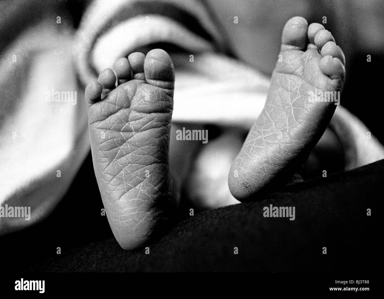 La coriacea suole di un nuovo nato di 3 giorno di età Baby girl i piedi sono visibili in dettaglio. Foto Stock