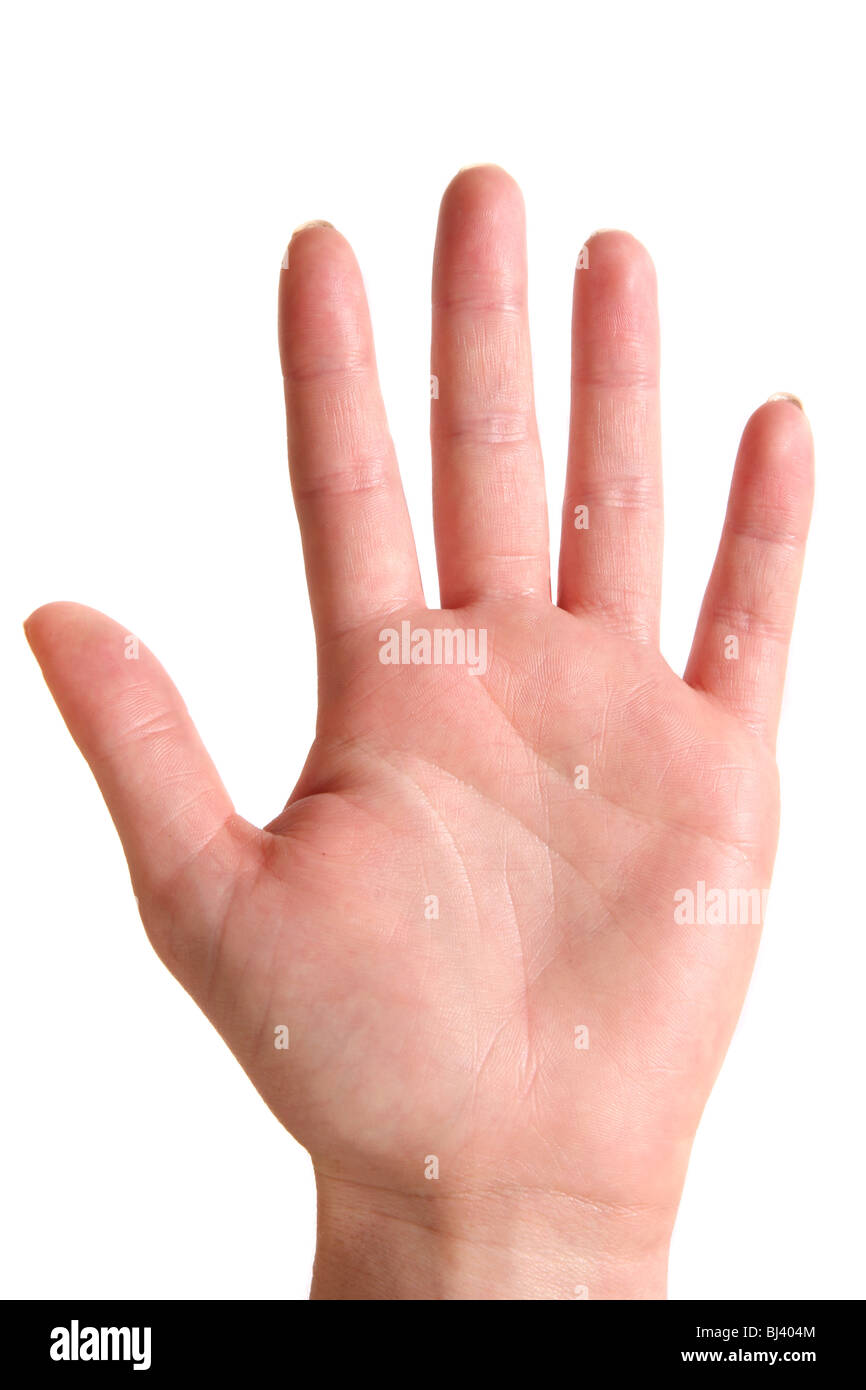 Il palmo di una mano femmina presa contro uno sfondo bianco. Foto Stock