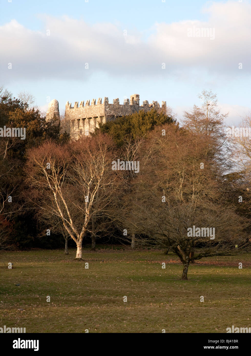 Blarney Castle e motivi nella contea di Cork in Irlanda Foto Stock