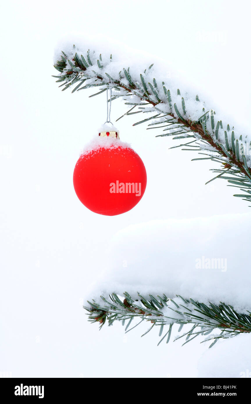 Vetro rosso pallina su una coperta di neve ramo di pino Foto Stock