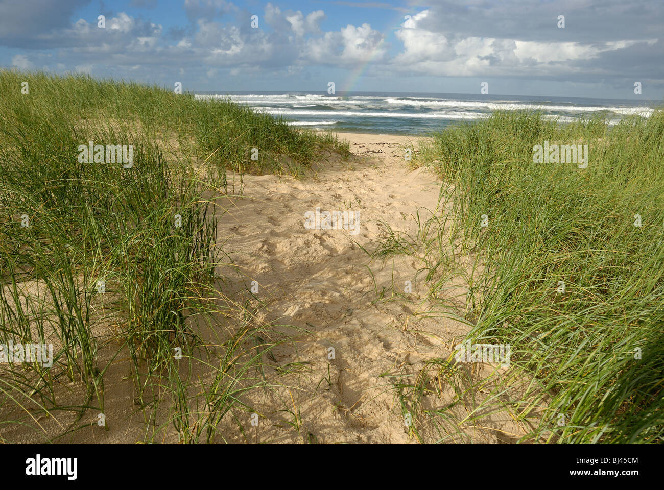 Percorso sulla spiaggia porta all'oceano, Hermanus, South Western Cape, Sud Africa Foto Stock