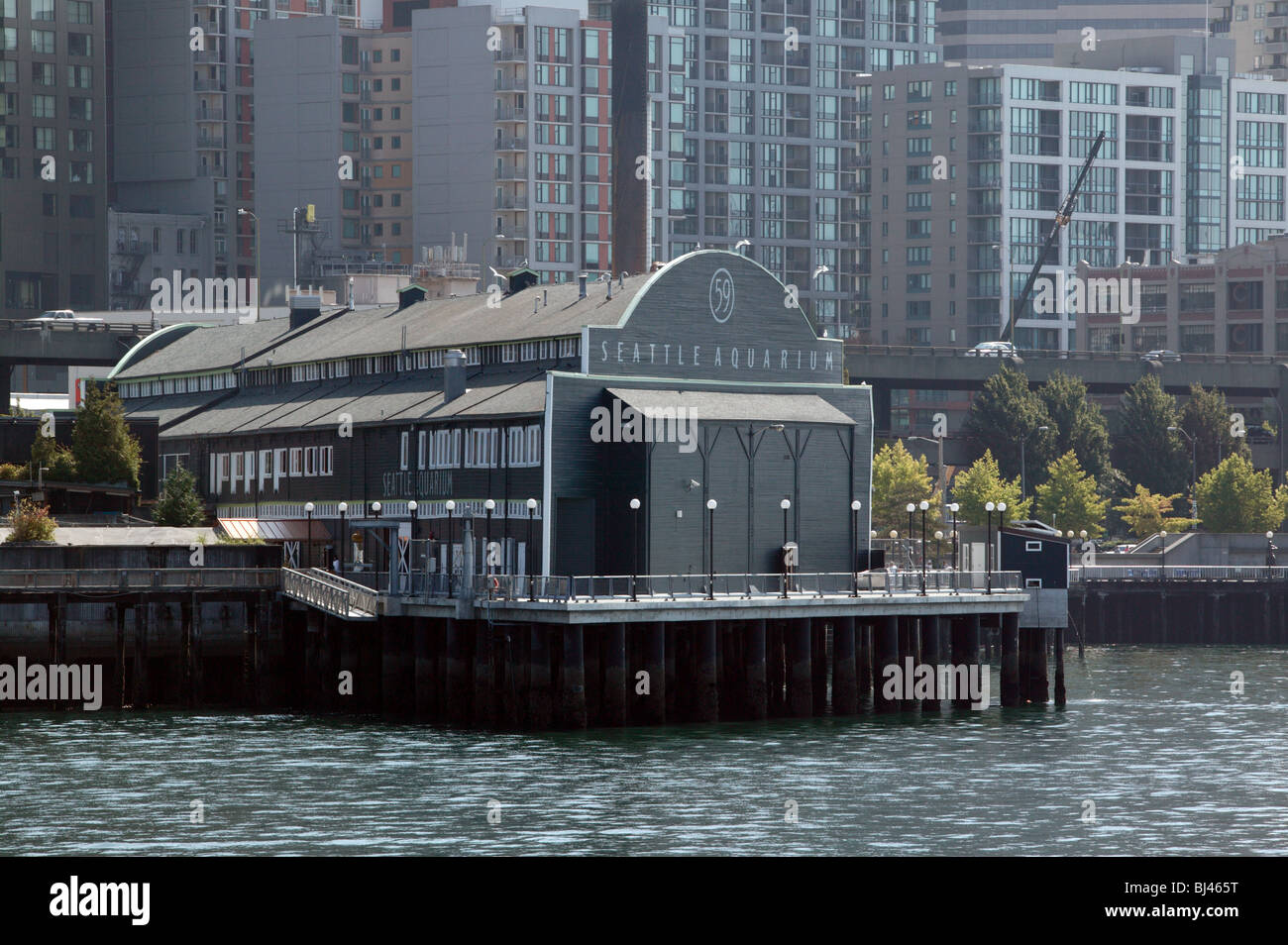 Seattle Aquarium Pier 59, Elliot Bay, Seattle Foto Stock