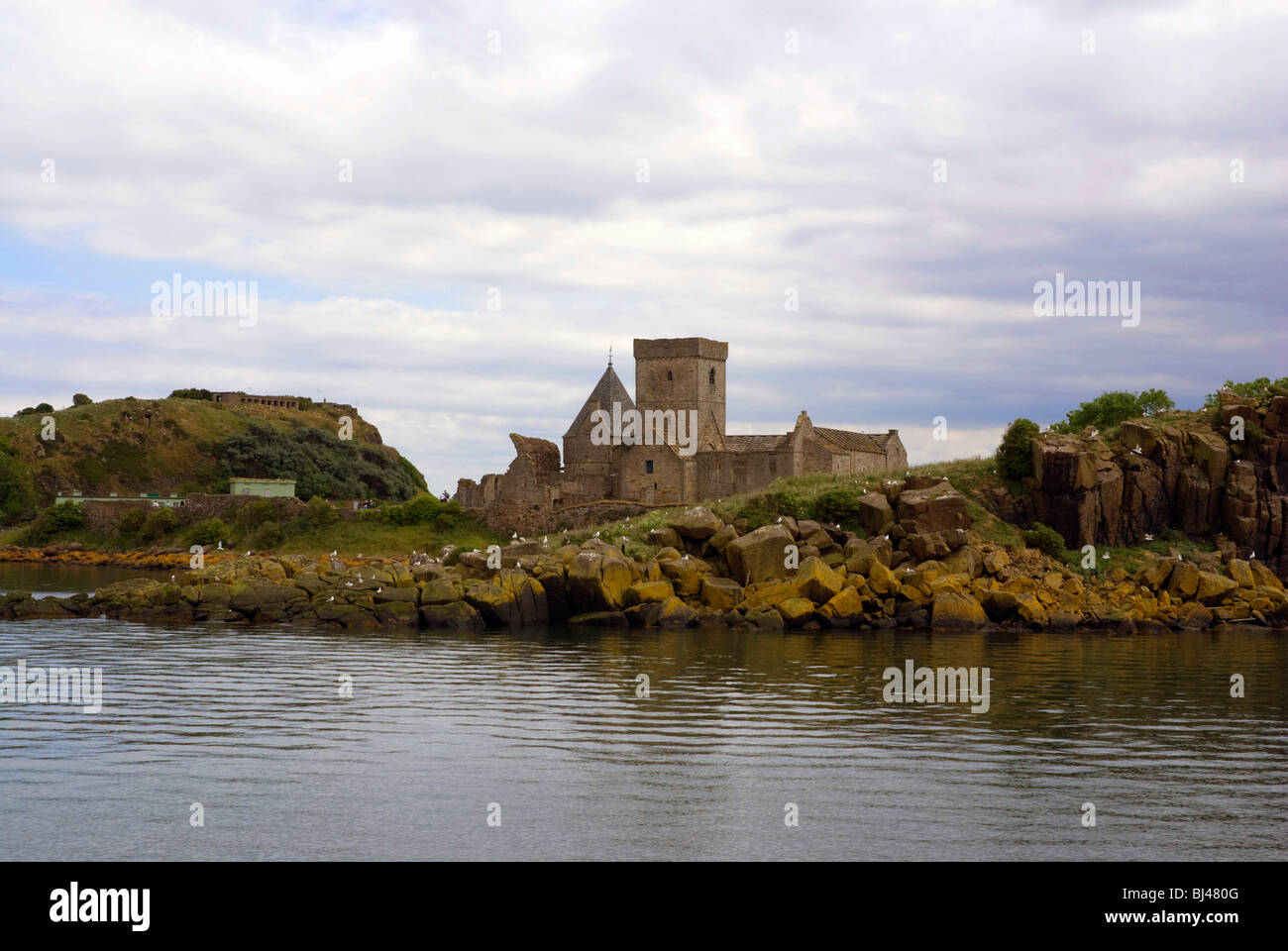 L'Abbazia su Inchcolm isola, nel Firth of Forth nei pressi di Edimburgo Foto Stock
