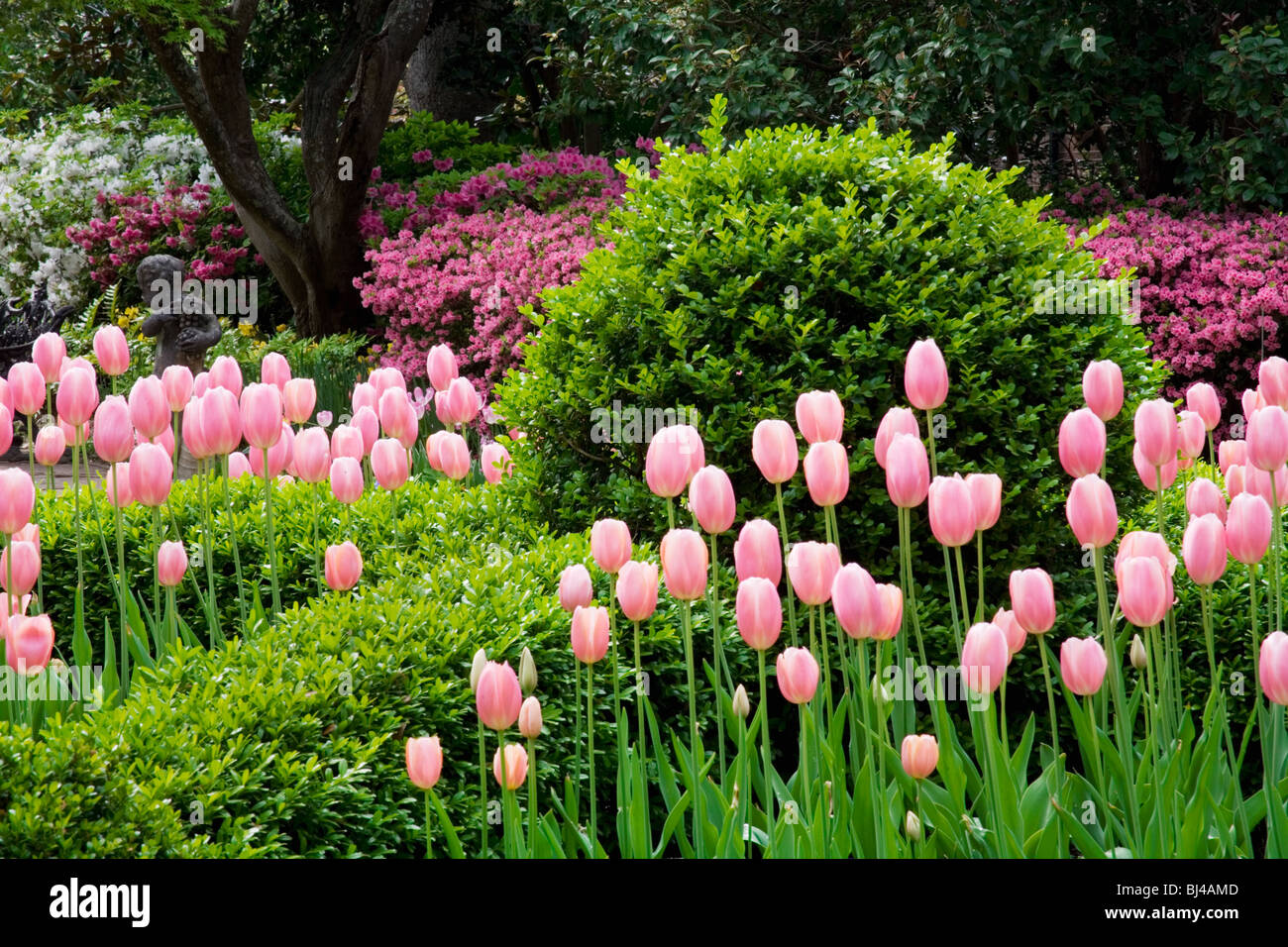 Splendidi giardini di Nathaniel Russell House a Charleston, Carolina del Sud Foto Stock