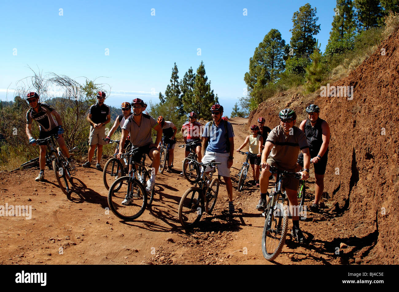 Spagna Isole Canarie Tenerife Teide Il Parco Nazionale del Vulcano, paesaggio, gruppo di appassionati di mountain bike Foto Stock