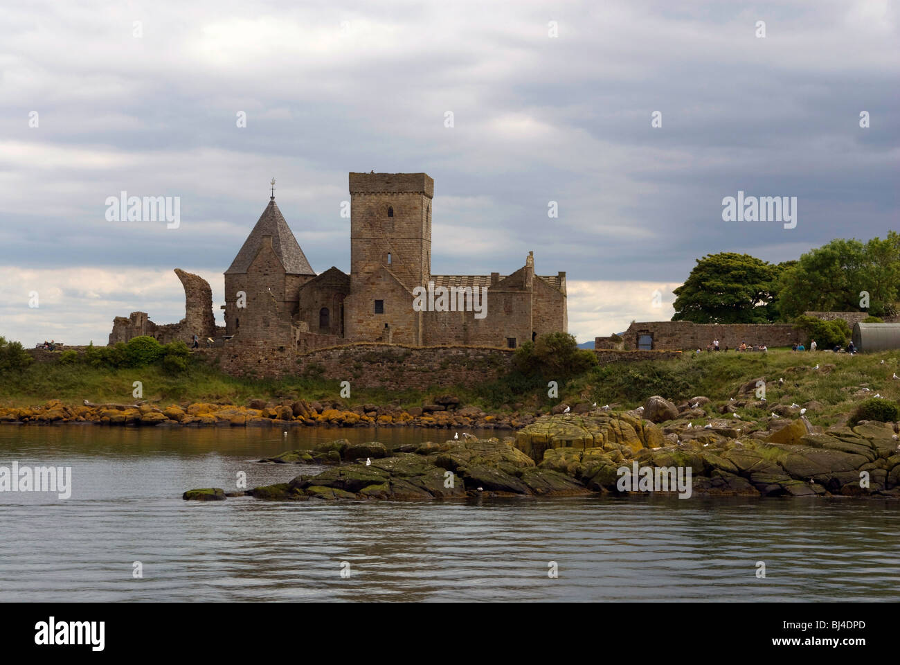 L'Abbazia su Inchcolm isola, nel Firth of Forth nei pressi di Edimburgo Foto Stock