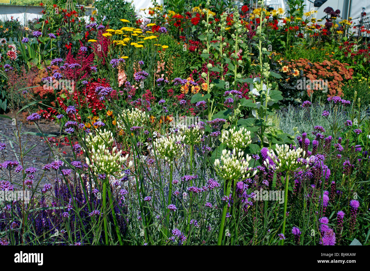 Un colorato fiore erbacee confine in un paese di lingua inglese giardino Foto Stock