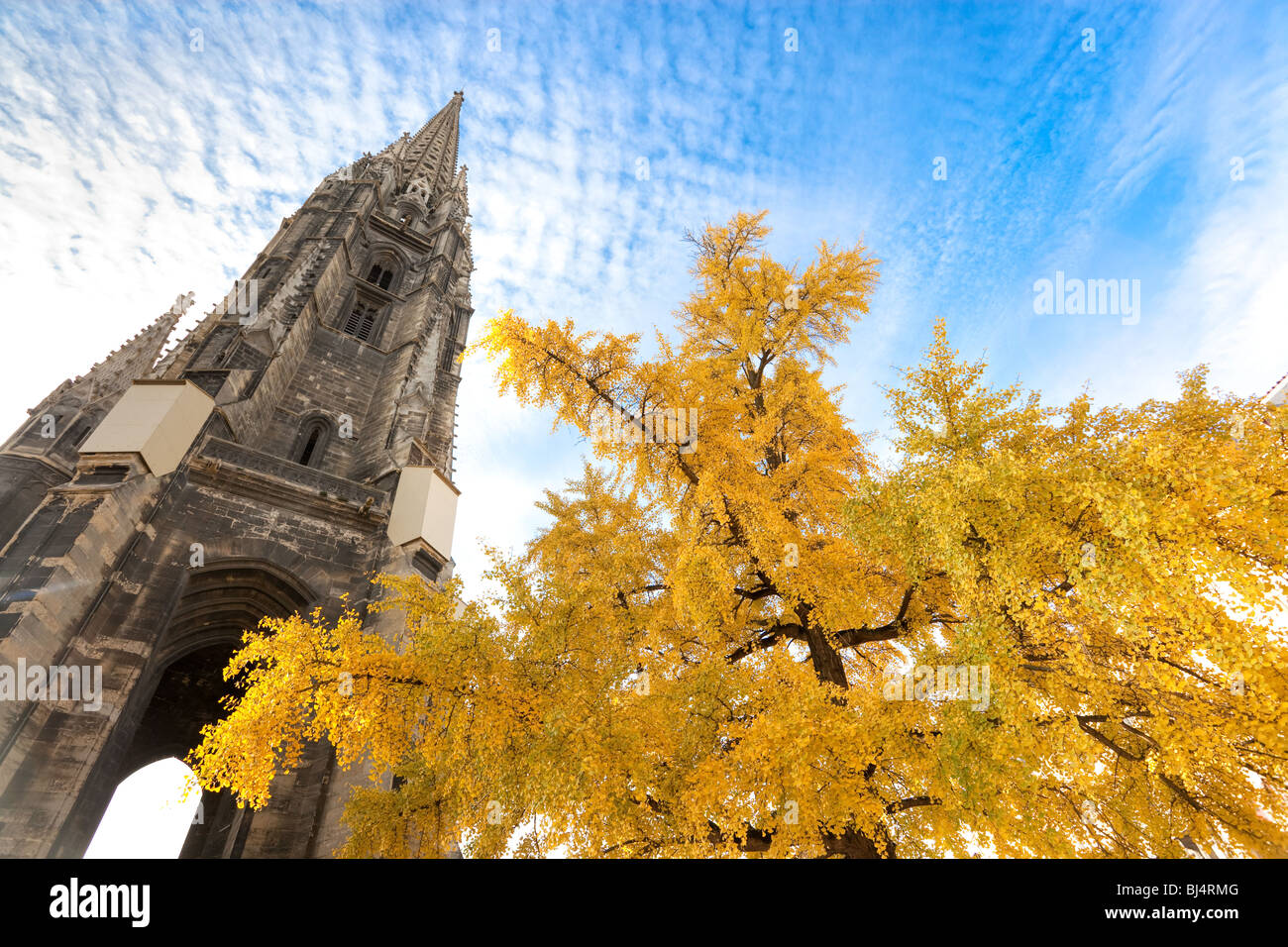 Bordeaux, Francia cattedrale guglia dietro gingko albero con foglie di giallo. Foto Stock