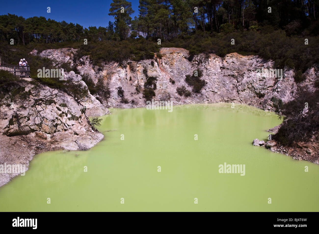 Devil's vasca da bagno un cratere riempito con acqua naturalmente colorati di un luminoso giallo limone verde da zolfo e sali ferrosi Nuova Zelanda Foto Stock