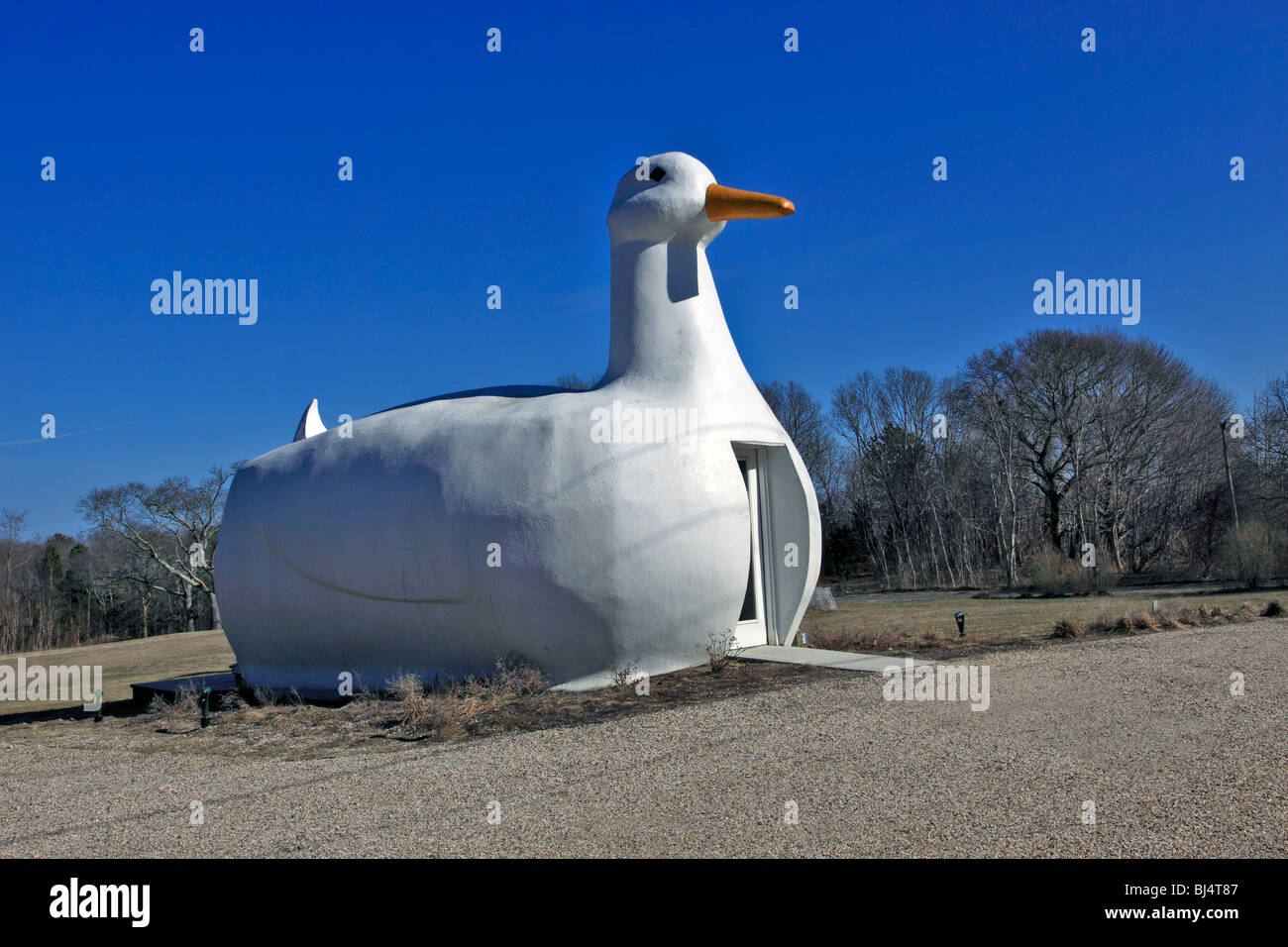 La grande anatra, simbolo di una volta anatra fiorente industria agricola, Long Island, NY Foto Stock