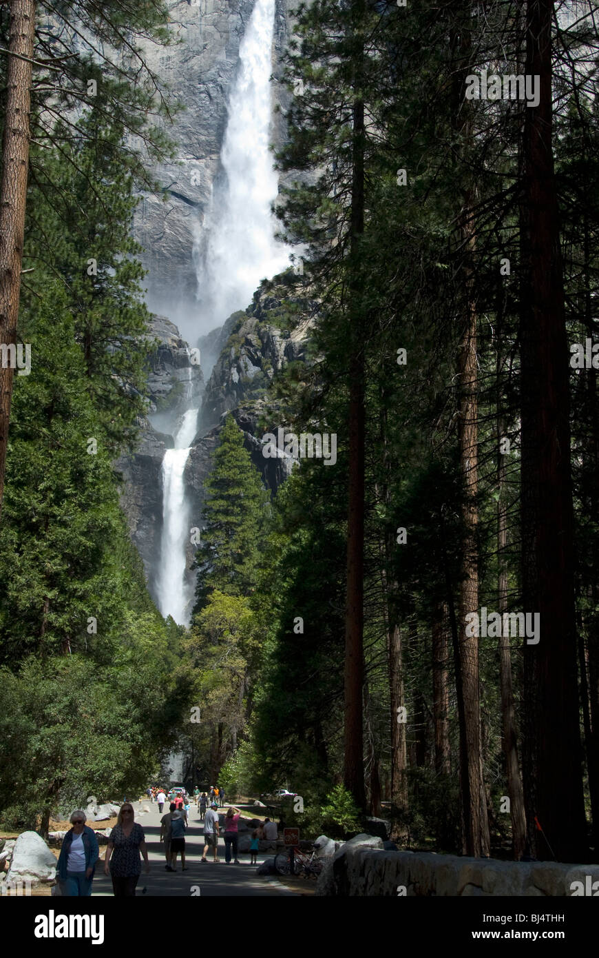 Superiore e inferiore di Yosemite Falls, del Parco Nazionale Yosemite in California Foto Stock