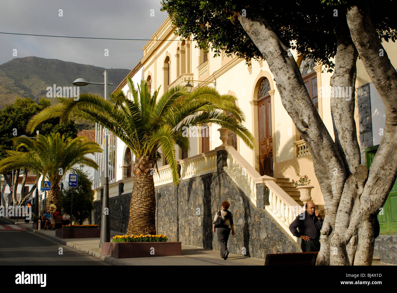 Teneriffa, Isole Canarie, Spagna Foto Stock