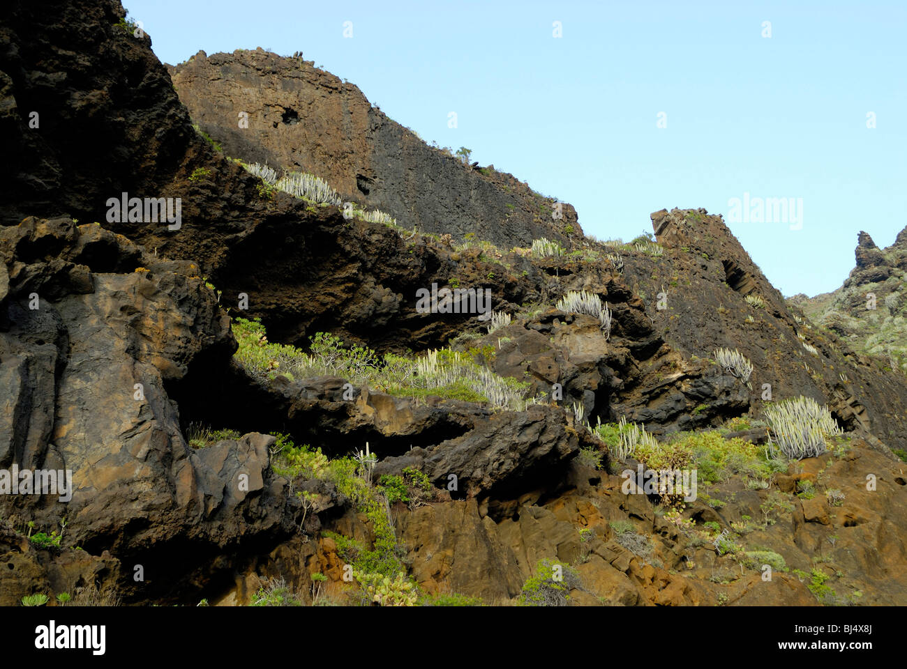 Spagna Isole Canarie Tenerife Punta de Teno, rocce con cactus Foto Stock