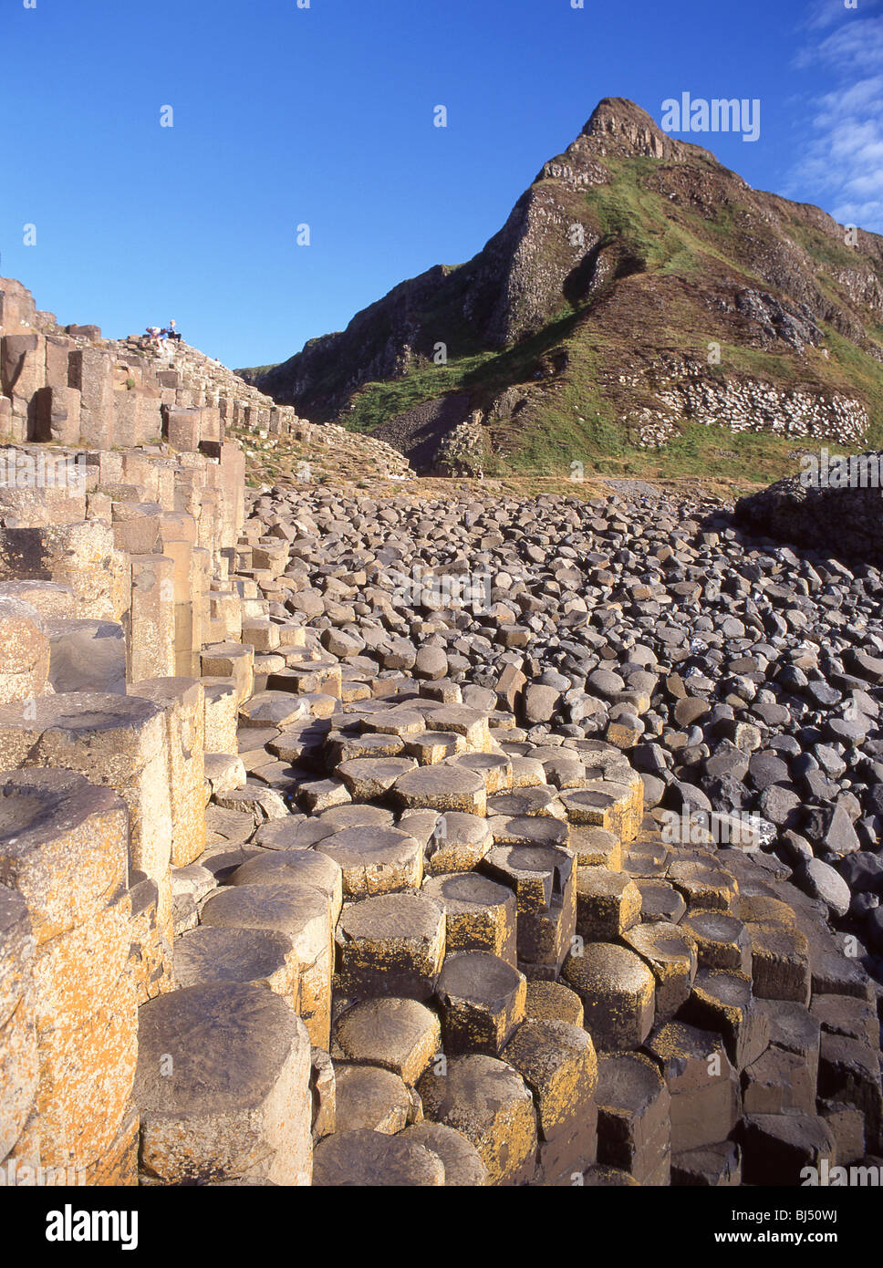 Il Selciato del gigante, County Antrim, Irlanda del Nord, Regno Unito Foto Stock